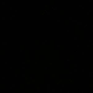 Meet your Posher, Roy